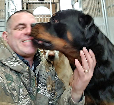 Rottweiler licking Mike